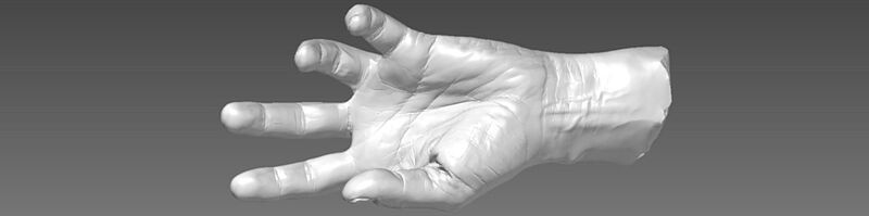 3D-Scan-Modell einer menschlichen Hand